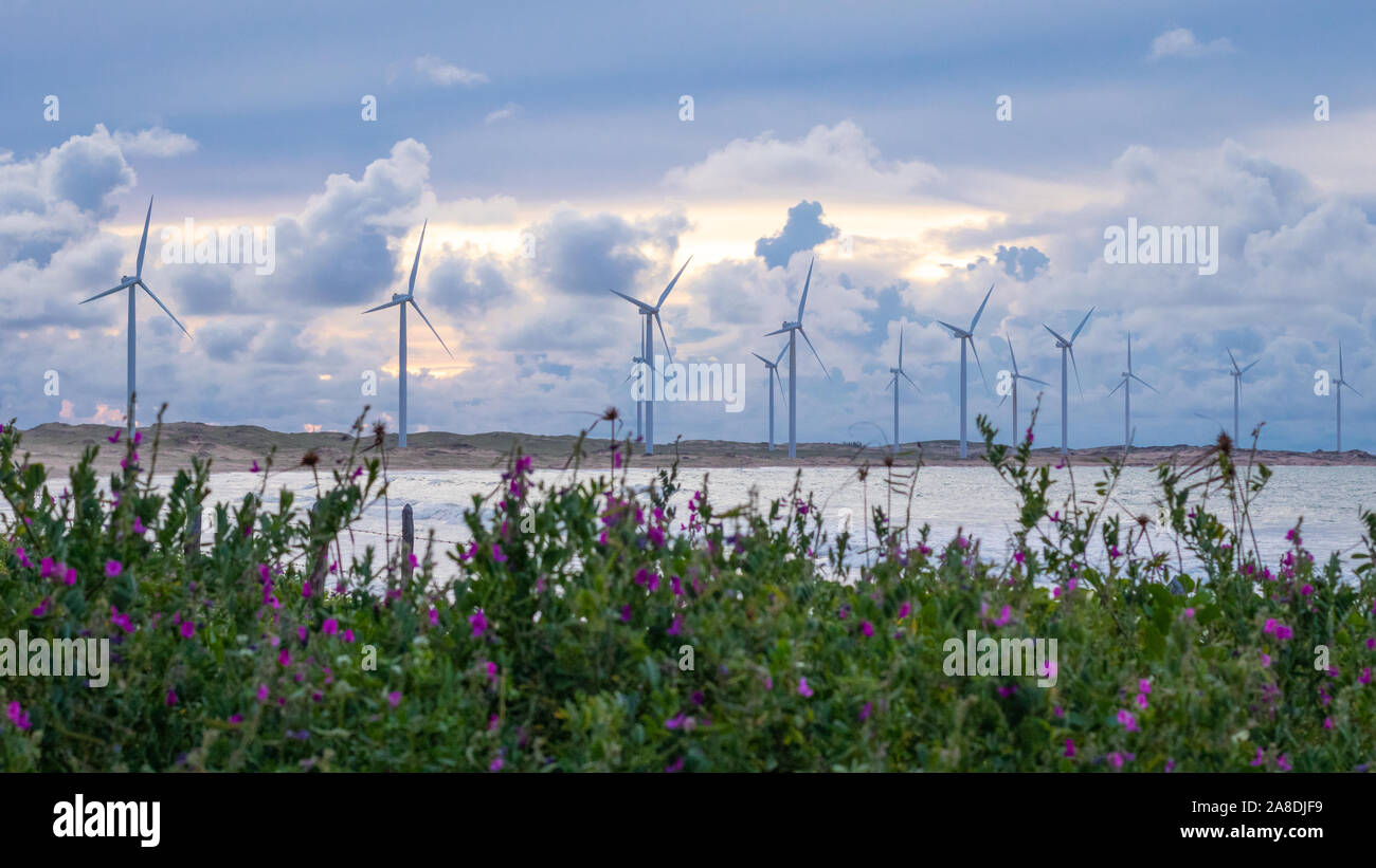 Coucher du soleil à icarai de amontada céara au nord-est braz Banque D'Images