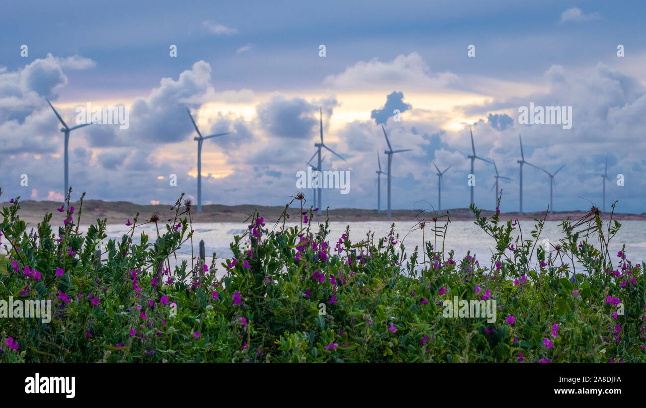 Coucher du soleil à icarai de amontada céara au nord-est braz Banque D'Images
