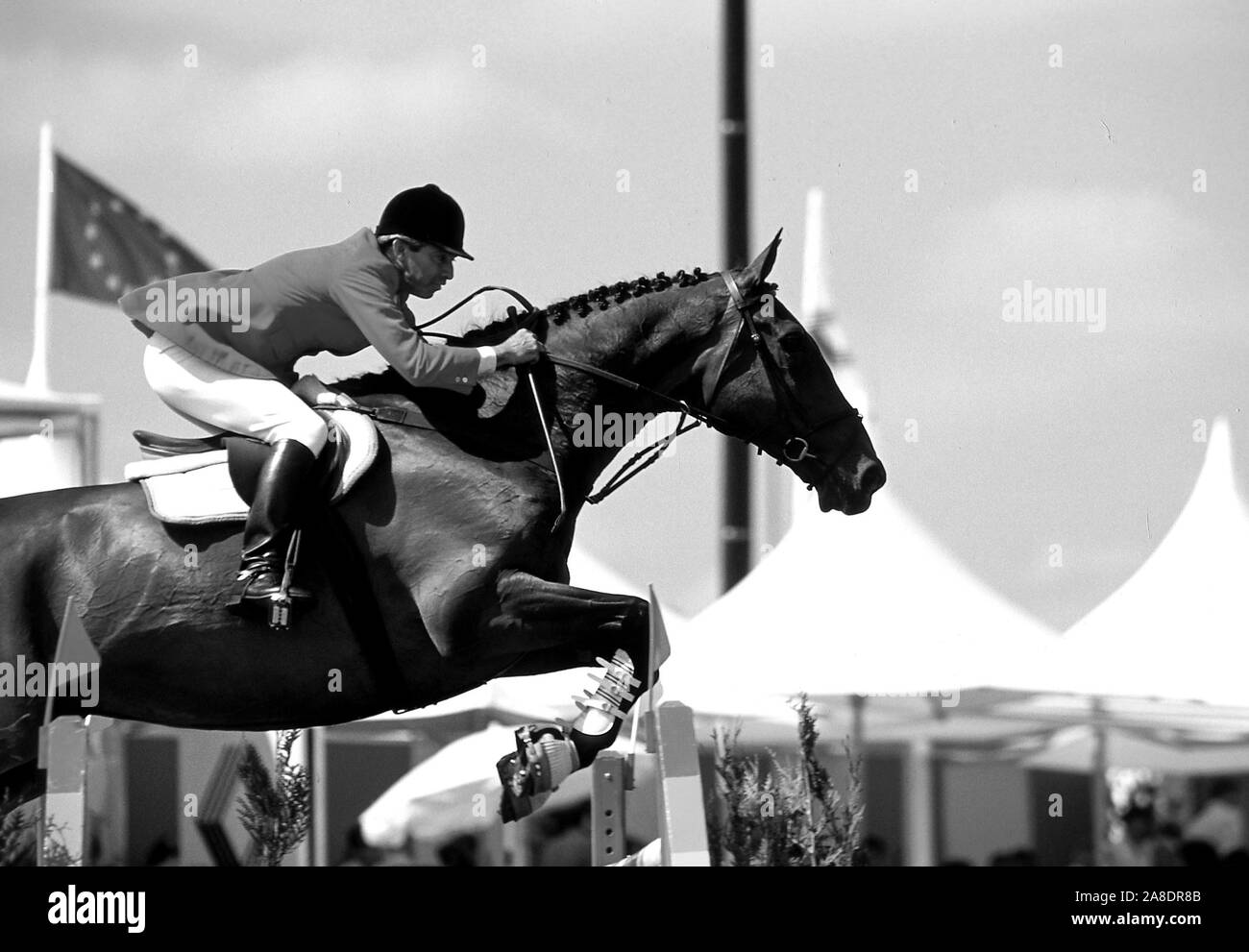 CSI Franconville, juin 1992, Nelson Pessoa (BRA) équitation M & C Vivaldi Banque D'Images