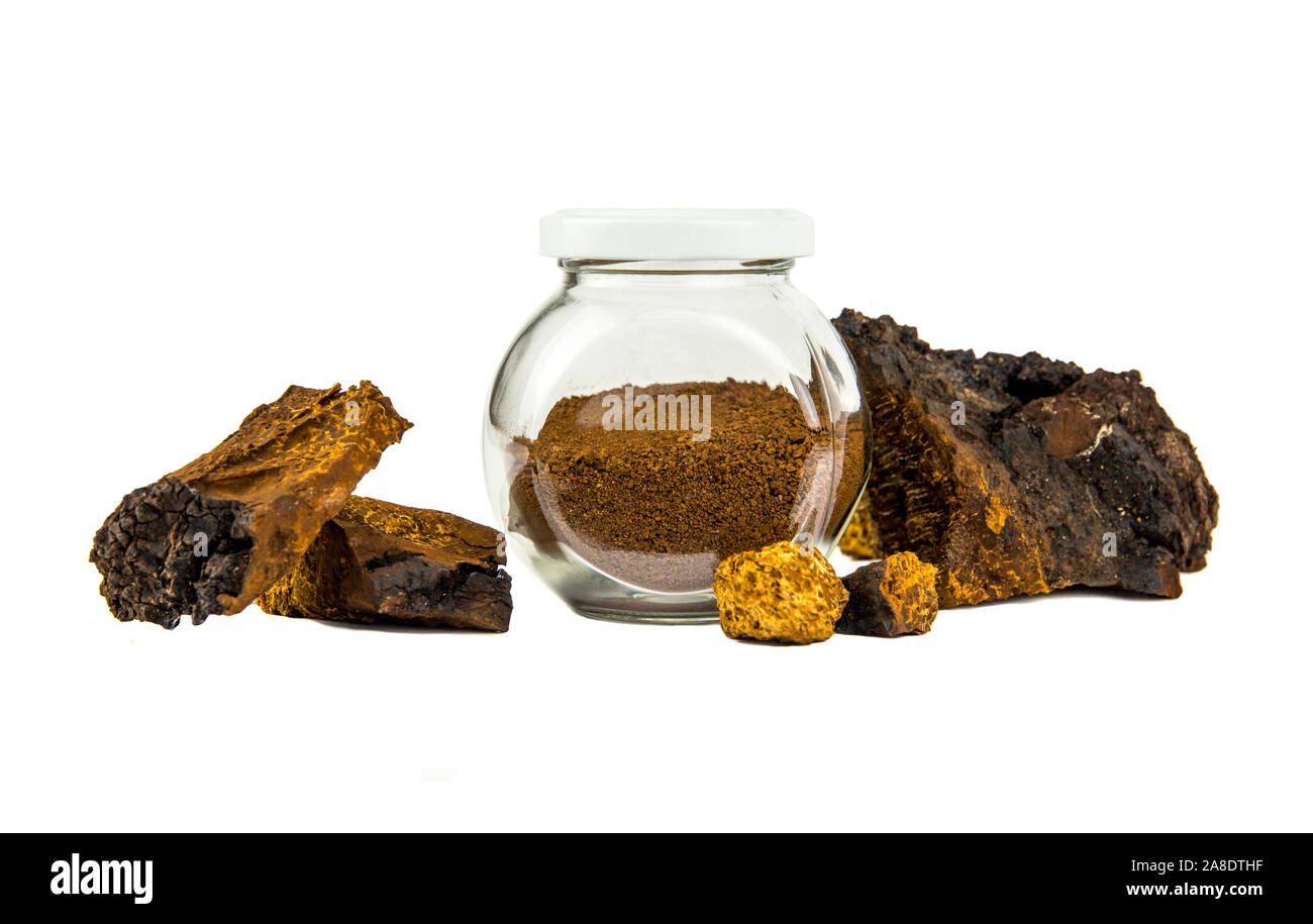Pure sain naturel sauvage champignon Inonotus obliquus chaga, poudre dans un bocal en verre et un plateau/bouilloire et des morceaux de champignon isolé sur bac blanc Banque D'Images