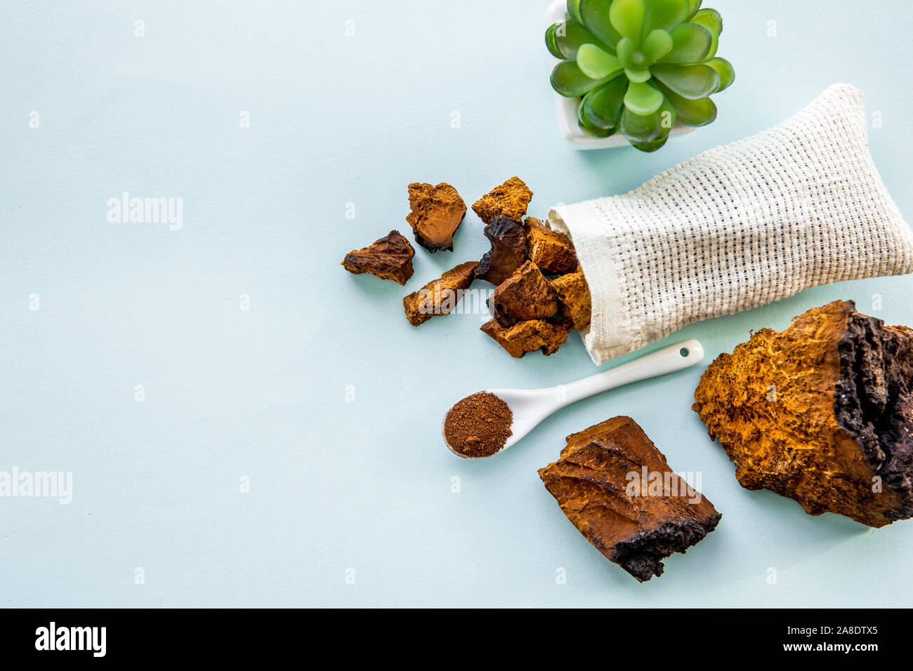 Télévision jeter voir naturel sauvage champignon Inonotus obliquus chaga, poudre et des morceaux d'un plateau/bouilloire. Plantes médicinales santé à base de plantes alimentaires su Banque D'Images