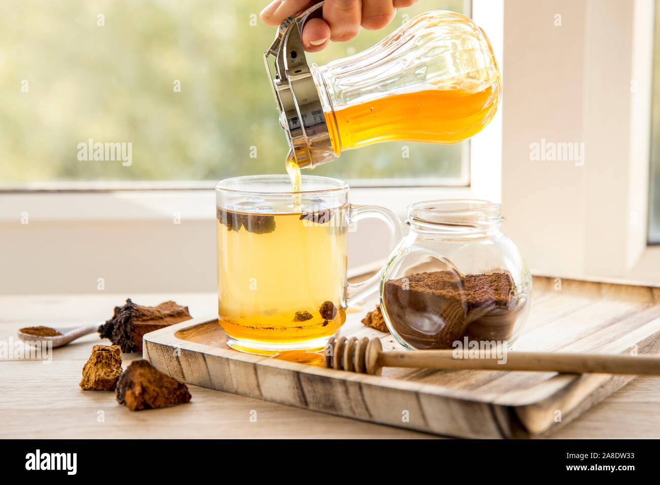 Pur en bonne santé naturelle de champignons sauvages chaga Inonotus obliquus Birch Tree, pièces en plateau de verre sur le plateau en bois sur le rebord de fenêtre, belle lumière arrière ensoleillée. Banque D'Images