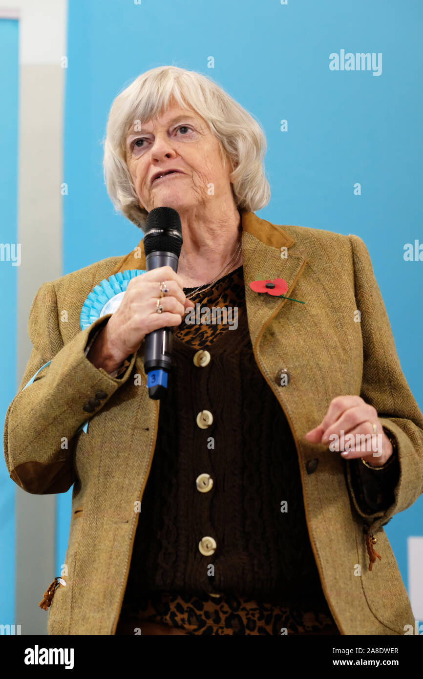 Ann Widdecombe - Little Mill, Pontypool, Montockshire, pays de Galles - Vendredi 8th novembre 2019 - l'eurodéputée du Parti du Brexit, Ann Widdecombe, s'adresse à un auditoire de la ville de Pontypool, dans le sud du pays de Galles.Photo Steven May / Alamy Live News Banque D'Images