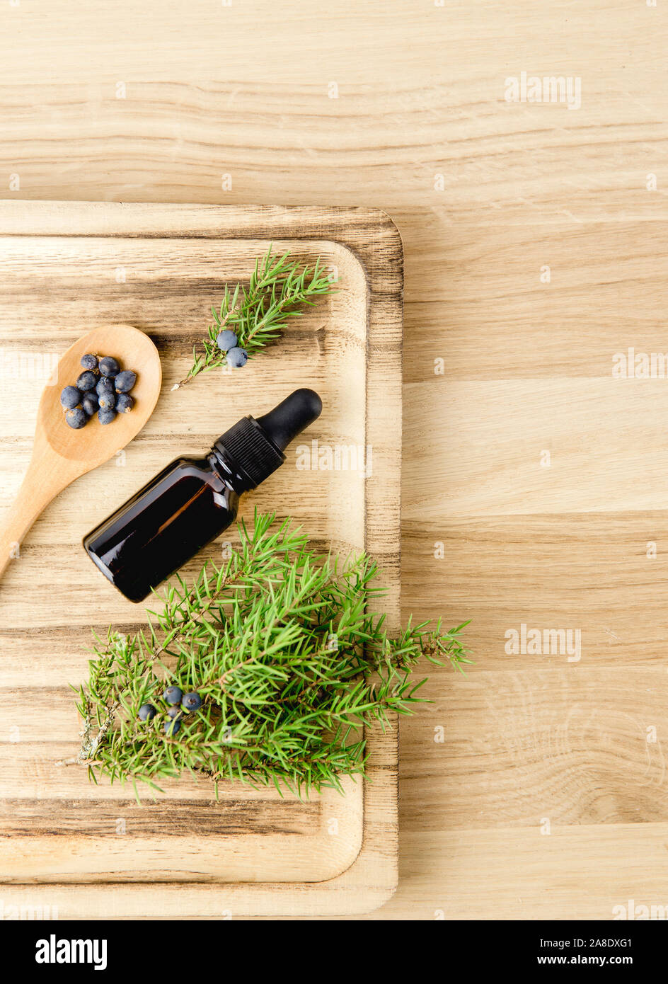 Vue sur la couche plate Juniper latin Juniperus communis huile essentielle de baies dans une bouteille de pipette brune, branche de genévrier avec cônes de conteur et baies dispersées Banque D'Images