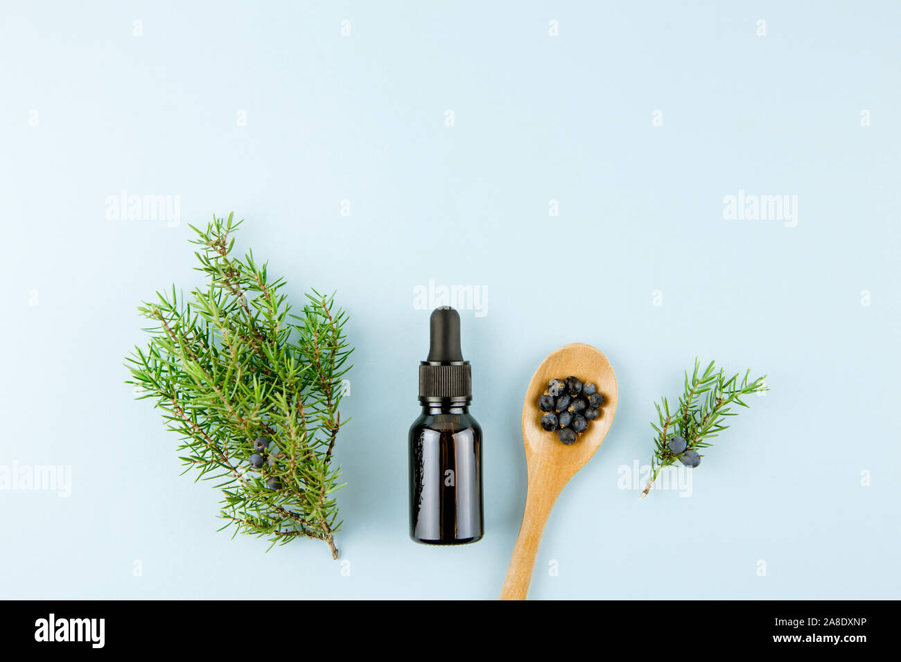 Arbre généalogique Juniper berry latin Juniperus communis huile essentielle en flacon compte-gouttes brun, juniper tree branch avec cônes de confier et de baies sur cuillère en bois o Banque D'Images