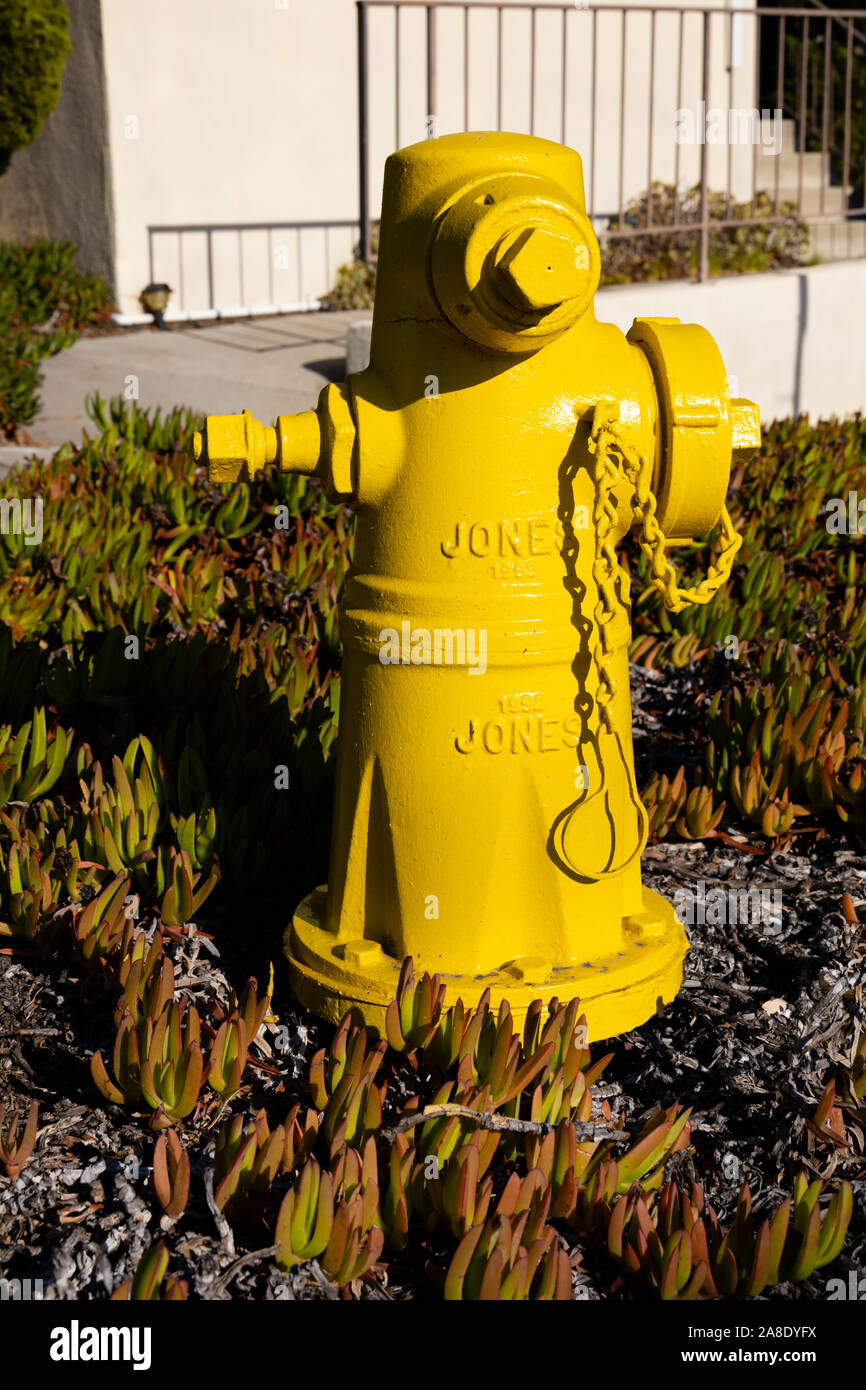 Trottoir jaune d'incendie, Ocean Park Blvd, Santa Monica, Los Angeles County, Californie, États-Unis d'Amérique Banque D'Images