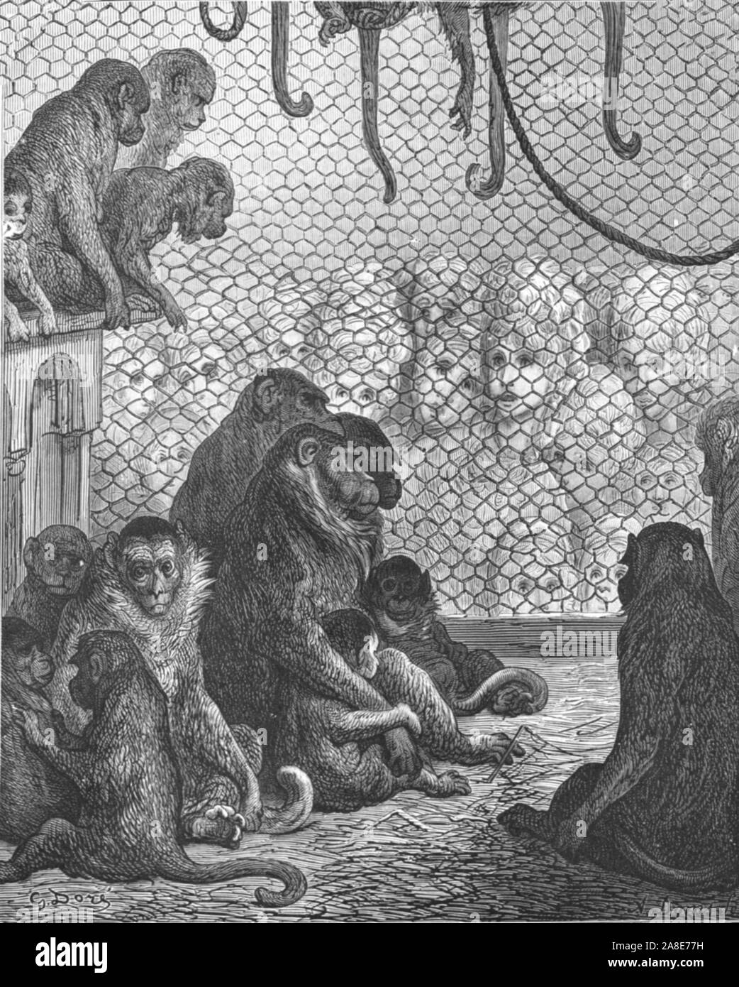 'Gardens-The zoologique Monkey House', 1872. Les visiteurs du zoo de Londres regarder des singes dans un boîtier fin en 1864. Depuis, "Londres. Un pèlerinage" par Gustave Dore et Blanchard Jerrold. [Grant et Co., 72-78, Turnmill Street, E.C., 1872]. Banque D'Images