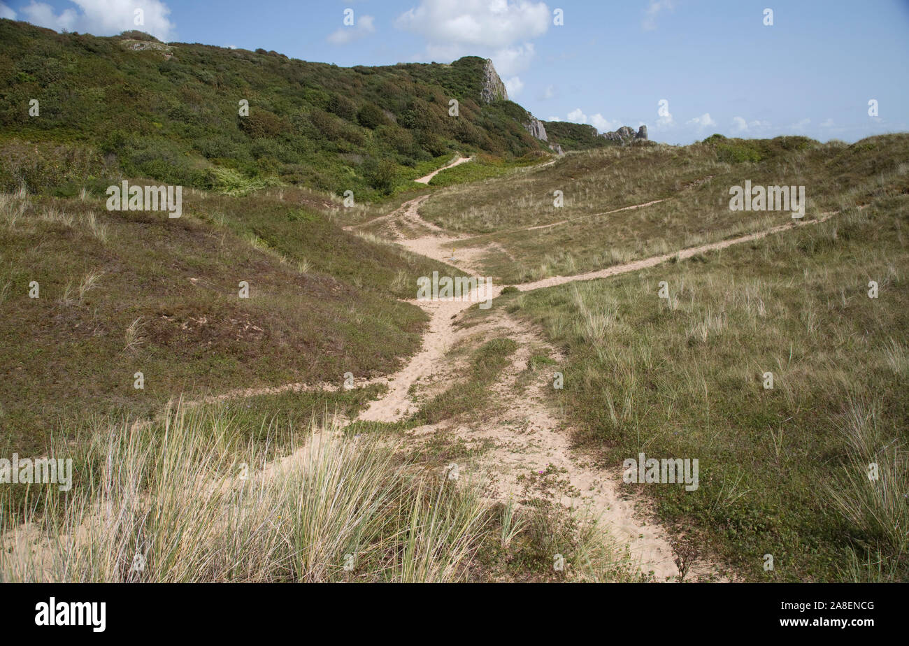 Des chemins à travers l'habitat fragile parmi les dunes de sable, Oxwich Bay, le Gower, West Wales, UK Banque D'Images