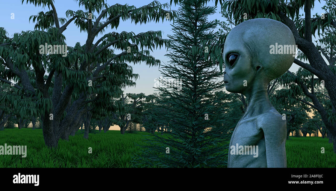 Zeta reticuli aliens Banque de photographies et d’images à haute ...