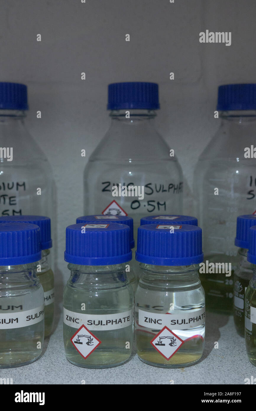 Solution de sulfate de zinc dans les flacons de réactifs chimiques dans un store au Royaume-Uni Banque D'Images