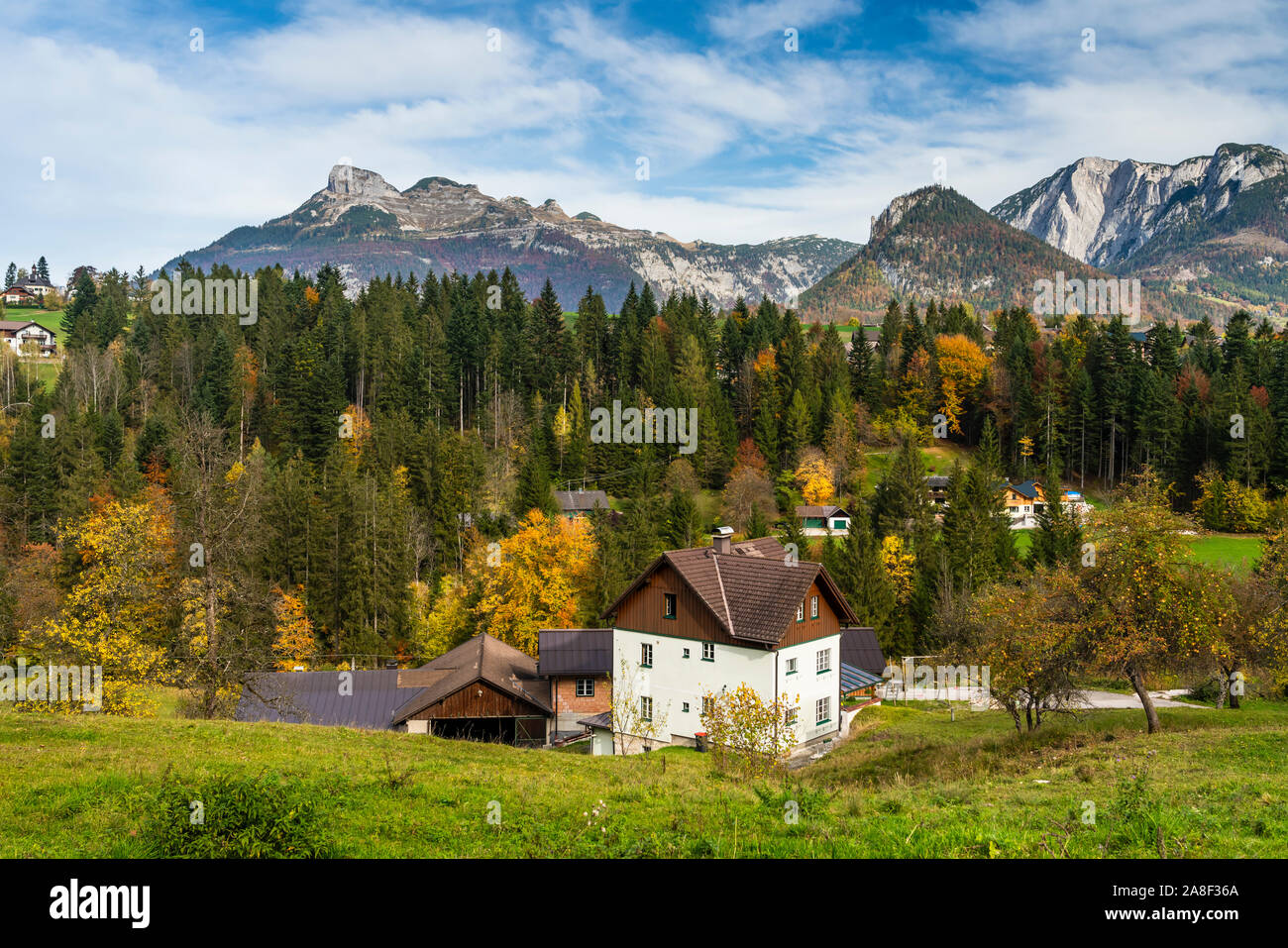 La couleur des feuilles d'automne dans les montagnes près de Bad Aussee, en Autriche, en Europe. Banque D'Images