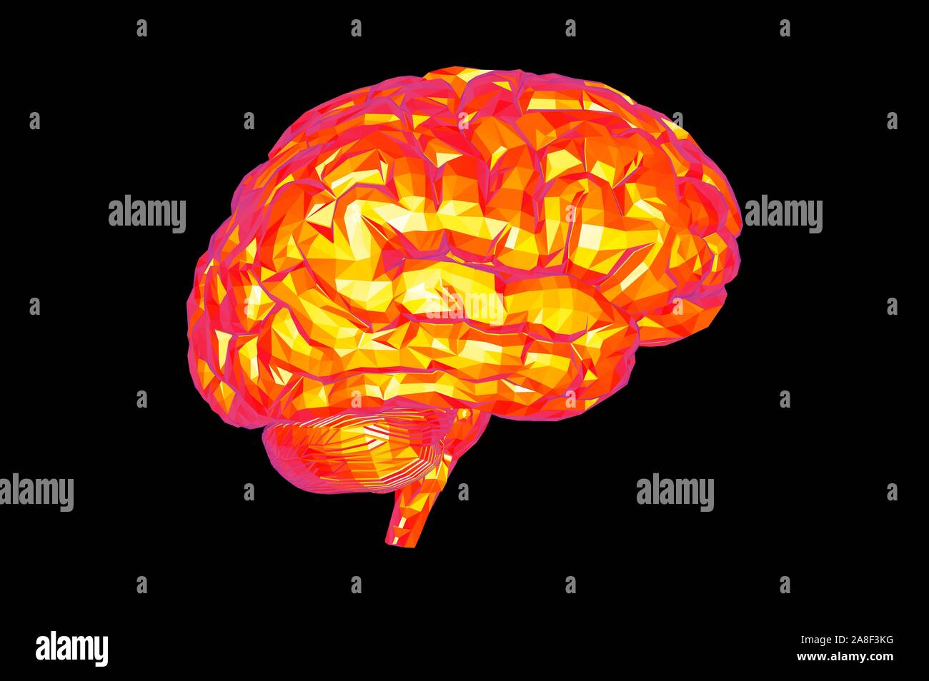 VEVOR Modèle Anatomique Du Cerveau Humain En 2 Parties - Code Couleur - Taille Réelle - Modèle