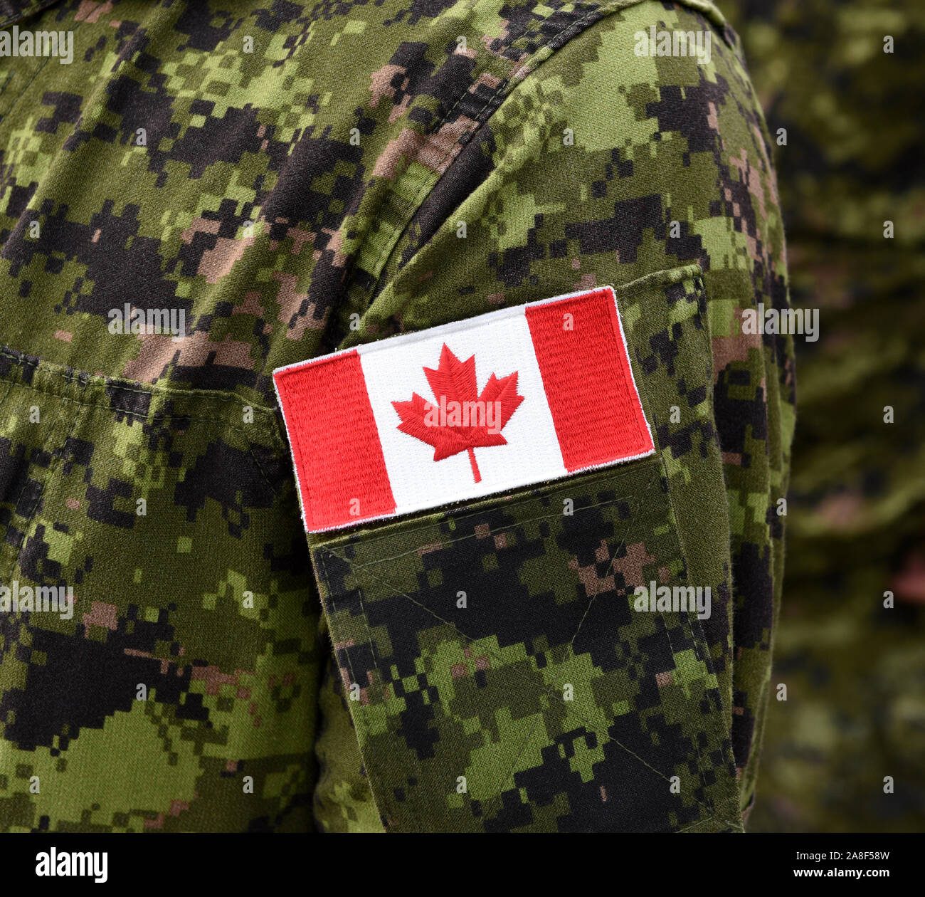 Drapeau du Canada sur l'uniforme militaire. Les soldats canadiens. De  l'armée du Canada. Le Jour du souvenir. La fête du Canada Photo Stock -  Alamy