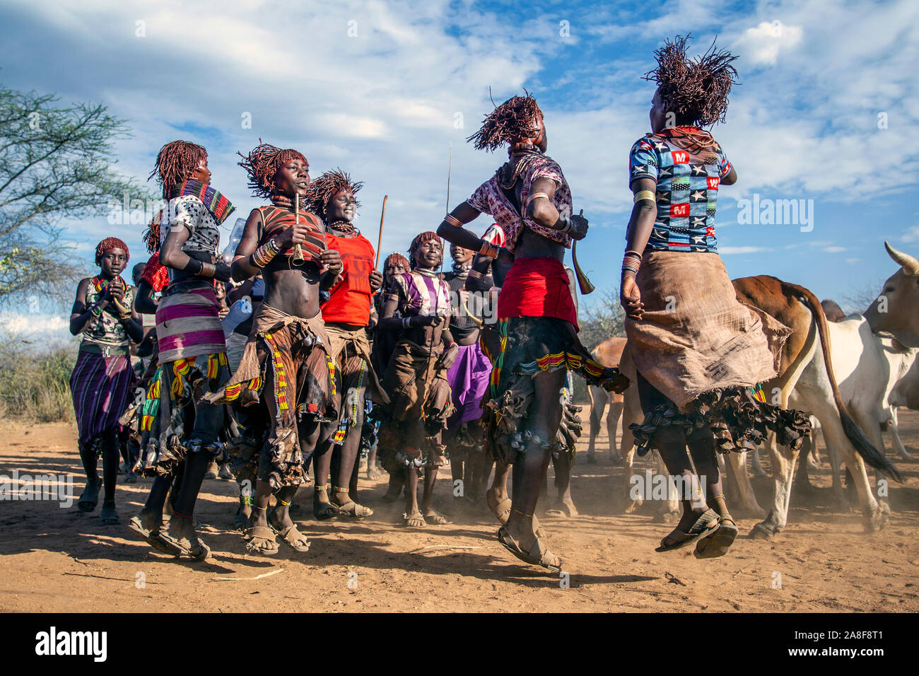 Les femmes de la tribu Hamar danser devant l'bull cérémonie saut près de Turmi Ethiopie Banque D'Images