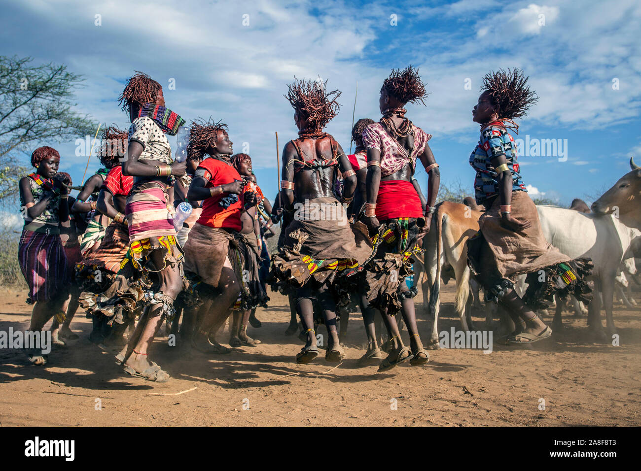 Les femmes de la tribu Hamar danser devant l'bull cérémonie saut près de Turmi Ethiopie Banque D'Images