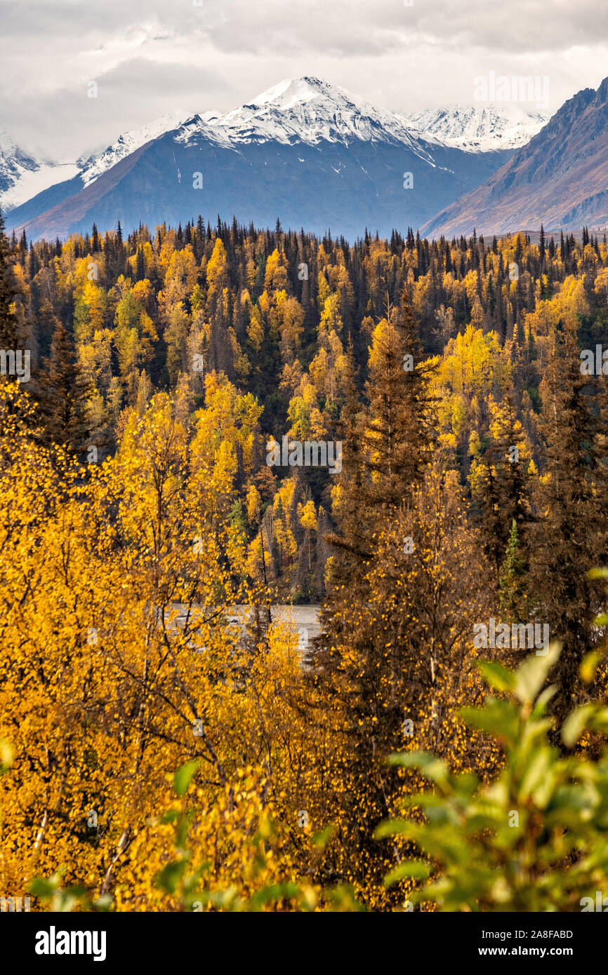 Résiliation la poussière, la neige précoce, tombe sur la chaîne de montagnes de l'Alaska le long de la branche est du fleuve Chulitna en Denali State Park près de Cantwell, Alaska Banque D'Images