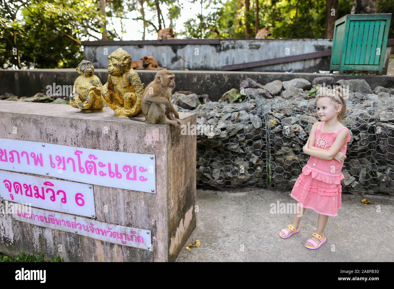 Petite nice Girl standing près de monkey golden statuettes et macaco au zoo en Thaïlande. Banque D'Images