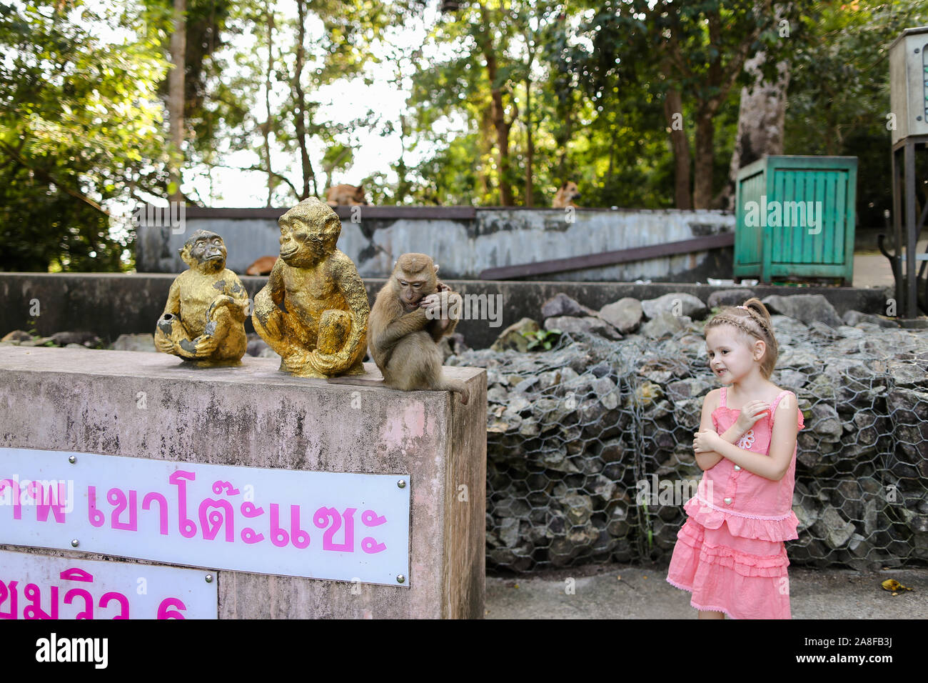 Peu caucasian Girl standing près de monkey golden statuettes et macaco au zoo en Thaïlande. Banque D'Images