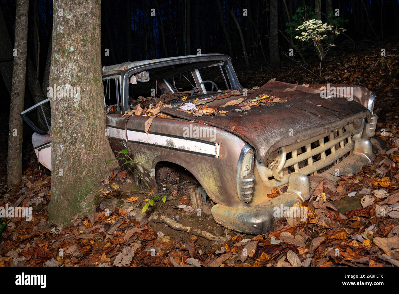 1957 Rambler Custom abandonnés ski Station Wagon - État des forêts récréatives Dupont, North Carolina, USA Banque D'Images