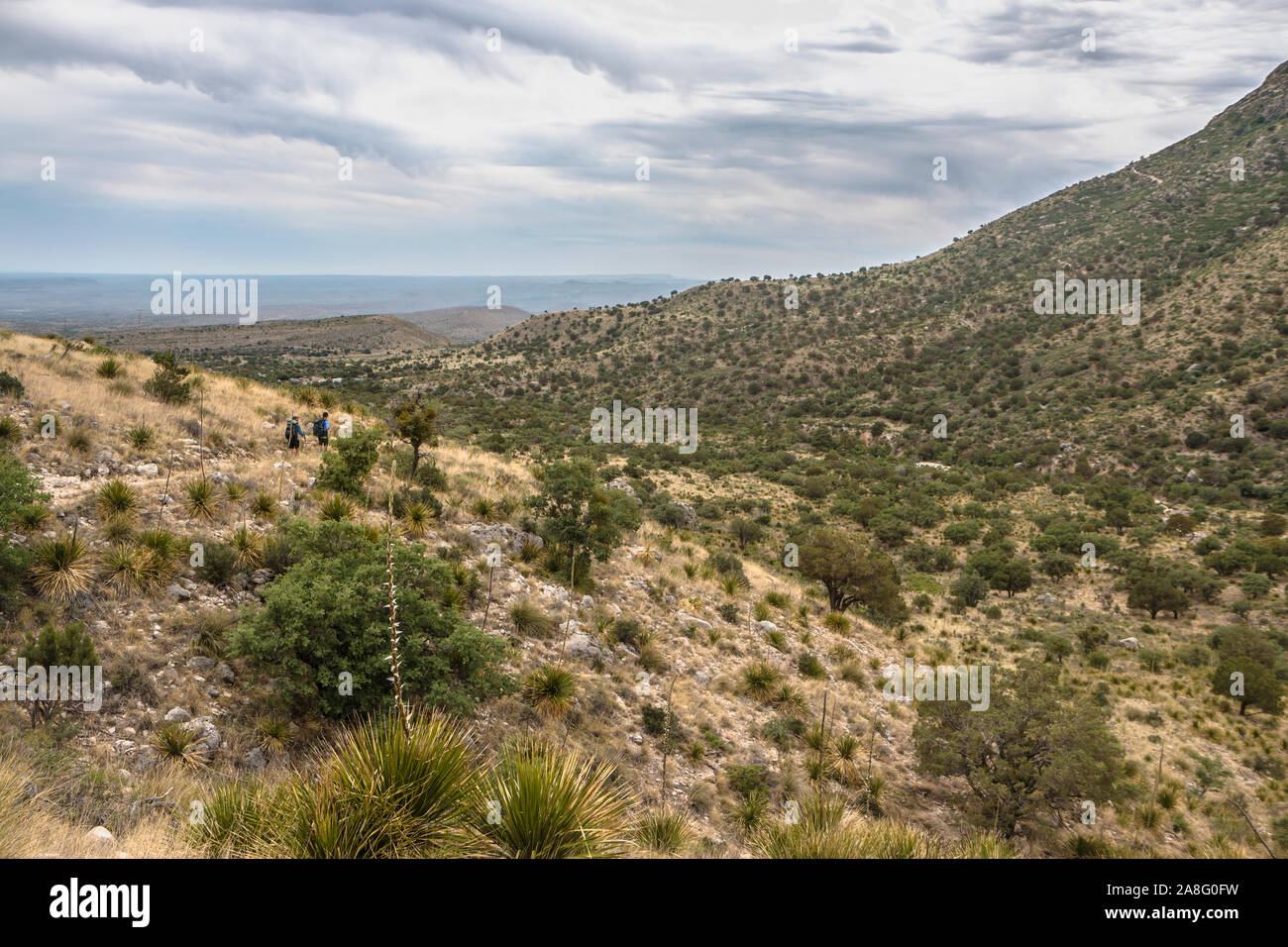 Vue paysage de Guadalupe Mountains National Park pendant la journée au Texas. Banque D'Images