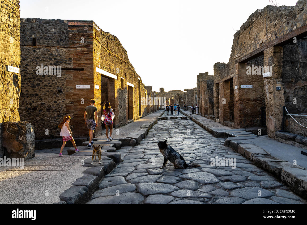 Les chiens et les visiteurs à Pompéi Via dell'Abbondanza, l'une des principales rues de pierre pavée l'ancienne ville romaine. Pompéi, Italie, Octobre 2019 Banque D'Images