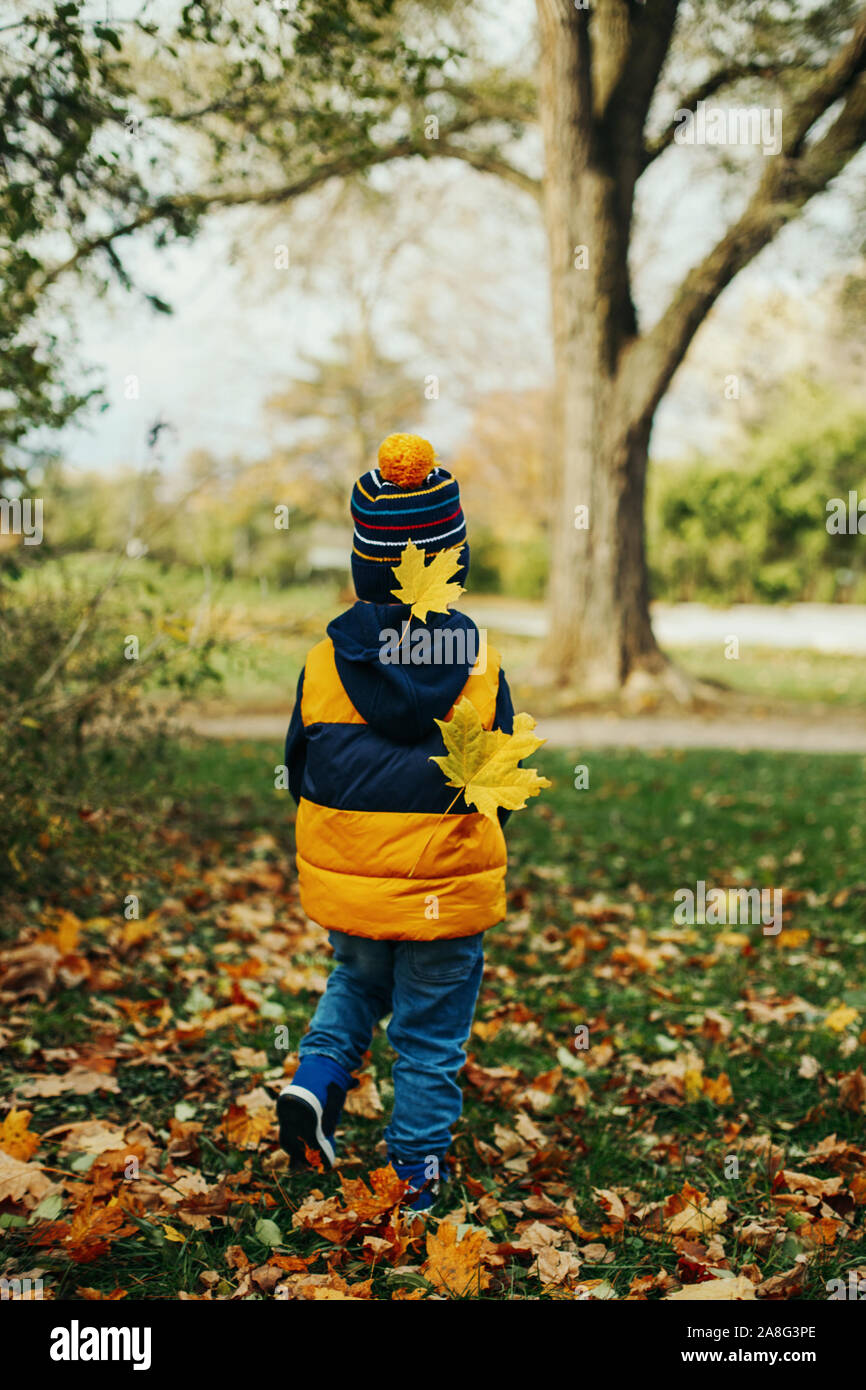 Cute adorable petit bébé garçon enfant en veste et hat balade en automne  automne parc avec feuilles d'érable jaune collé sur son dos. Kid s'amusant  o Photo Stock - Alamy