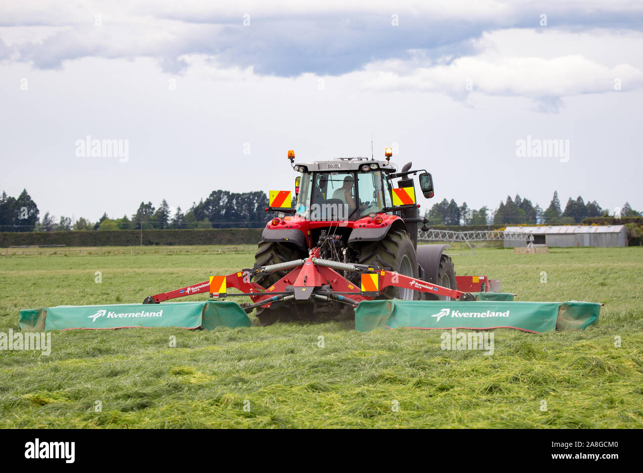 Canterbury, Nouvelle-Zélande, le 9 novembre 2019 : Un tracteur Massey Ferguson et faucheuse Kverneland coupé de l'herbe pour l'ensilage sur une ferme rurale Banque D'Images