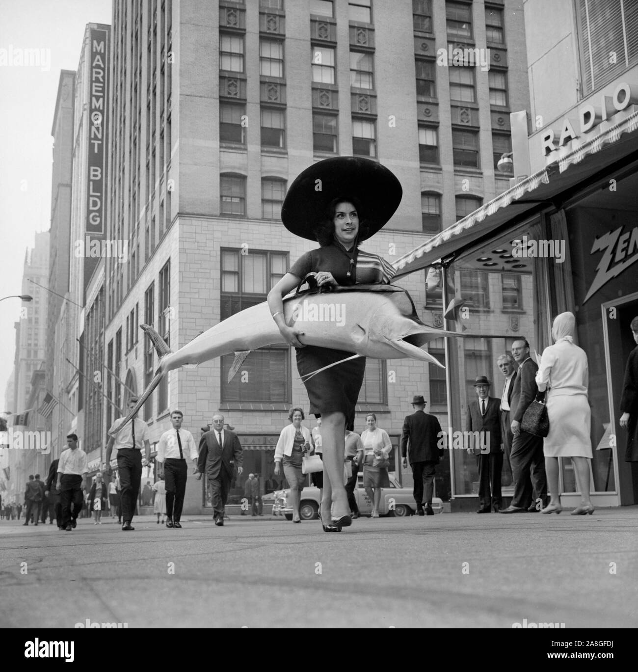 Un modèle porte un marlin voilier ou dans les rues de Loop à Chicago pendant un événement promotionnel pour le ministère du Tourisme du Mexique, ca. 1964. Banque D'Images