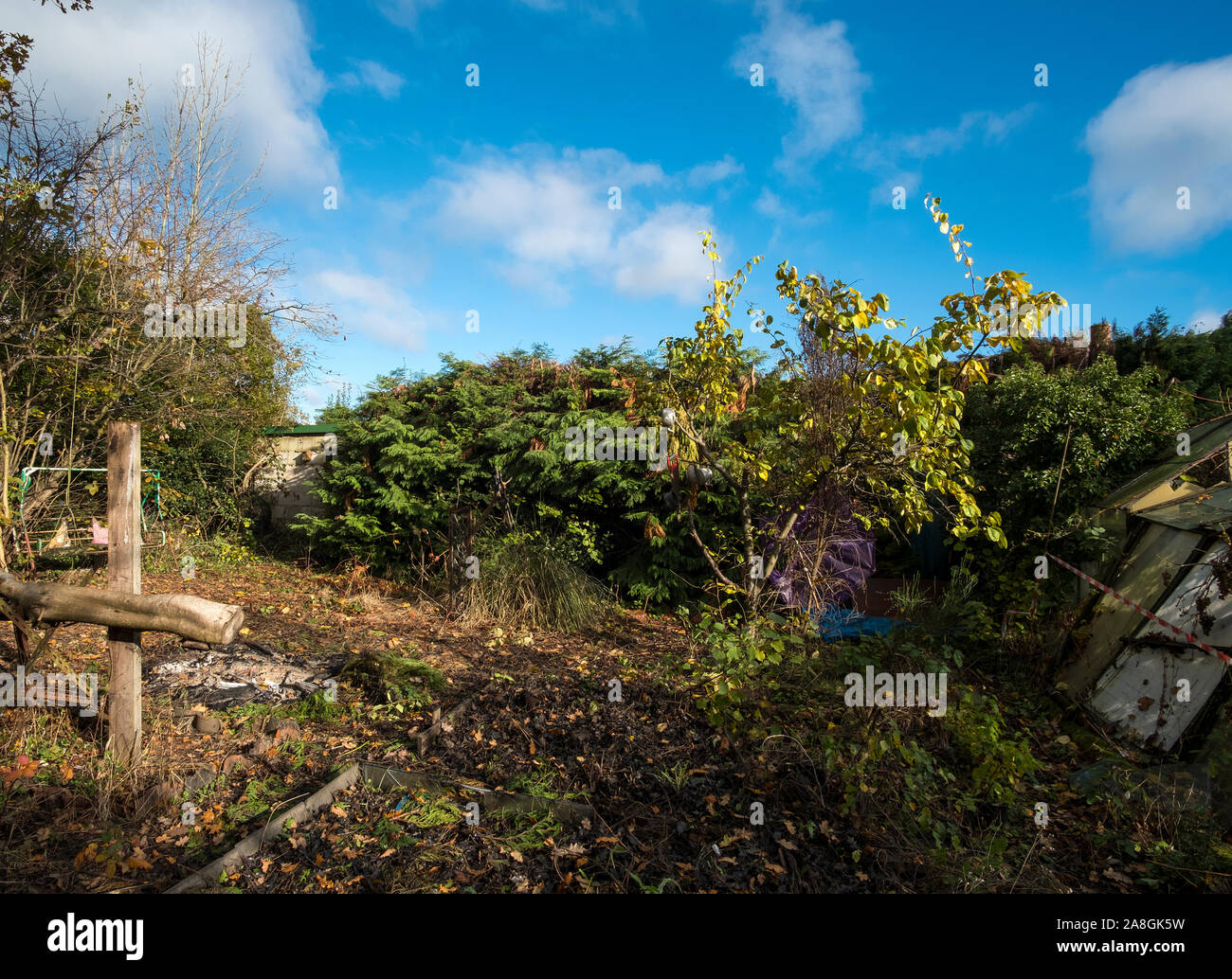 Jardin contexte malpropre en désordre Banque D'Images