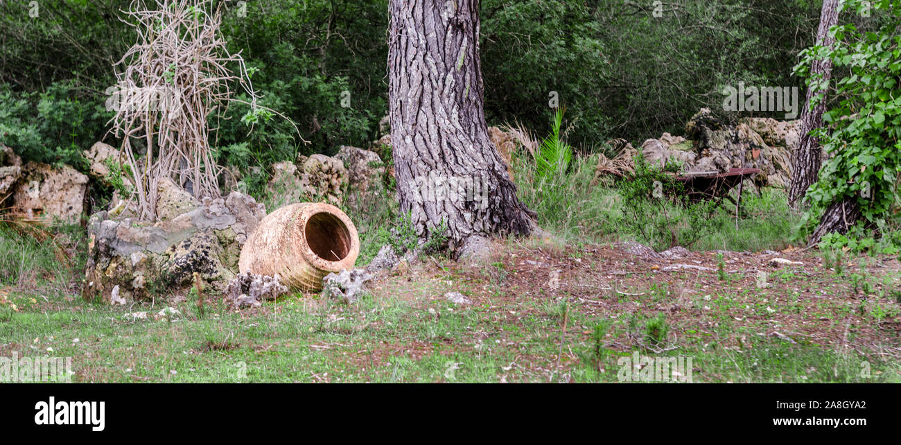 Amphore d'ORNEMENT DANS LA FORÊT Banque D'Images