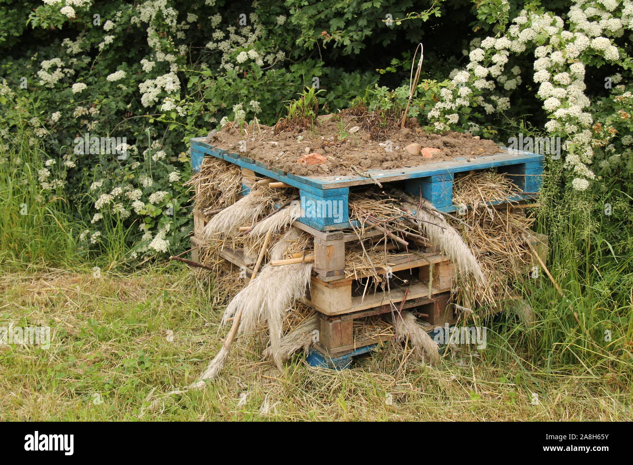 Un bug a fait à partir de palettes et de matériaux naturels. Banque D'Images