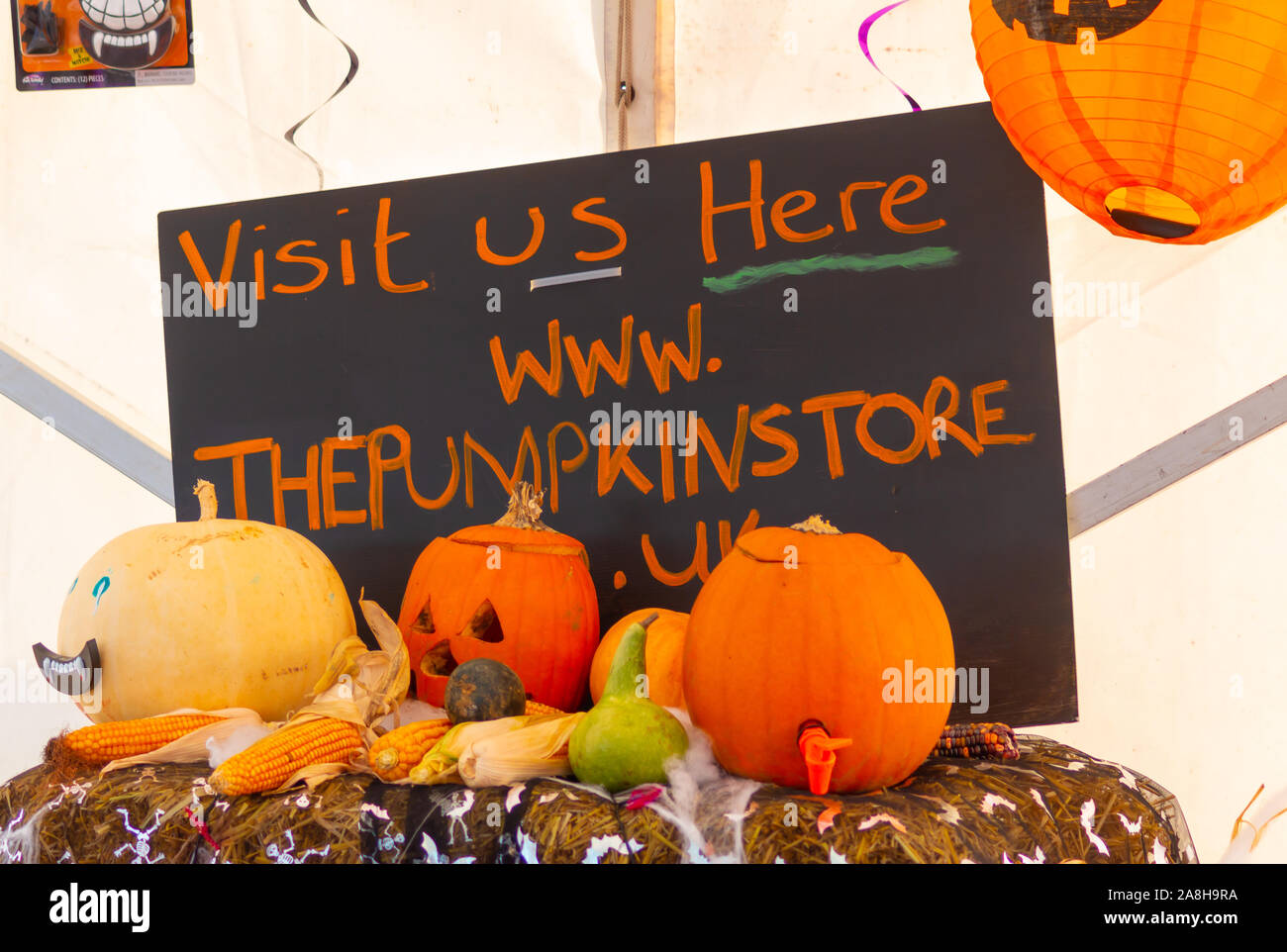 Un champ de citrouilles à l'halloween. Ce champ est dans une ferme de l'Hoo en Angleterre Kent péninsulaire. Banque D'Images