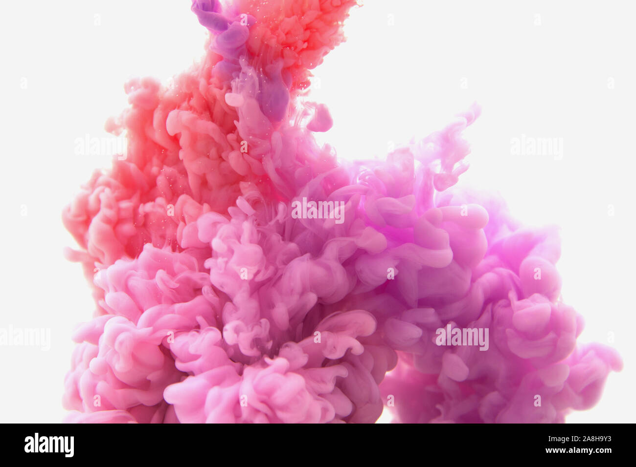 Mélange de rouge et violet abstrait de l'encre dans l'eau sur un fond blanc. Il ressemble à de la fumée ou de nuages. Ou zéro gravité. Banque D'Images