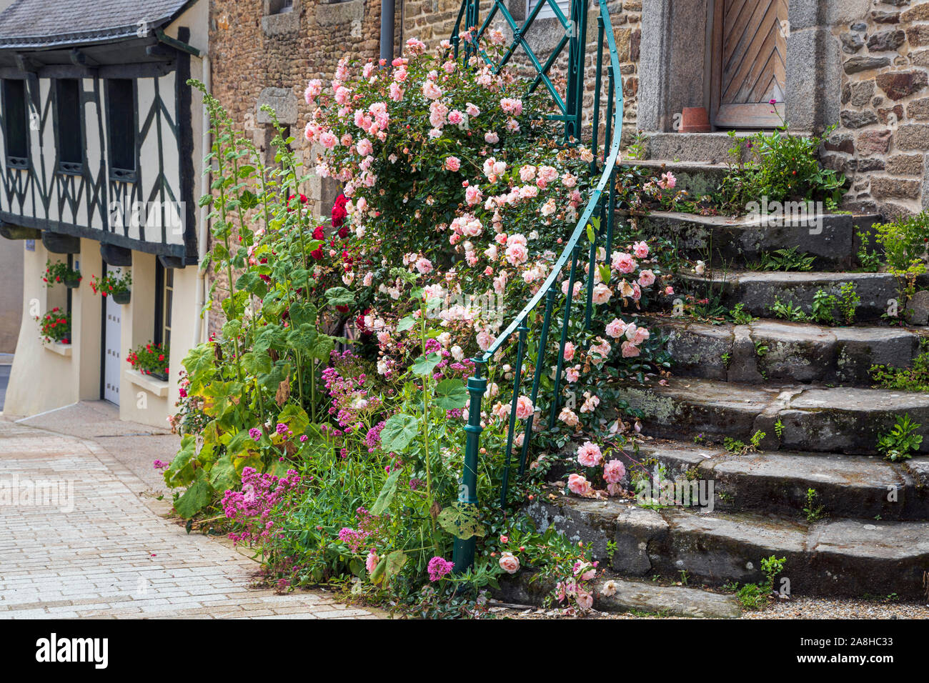 Roses et roses trémières n de plus en plus les étapes d'un chalet dans le village de La Trinité-Porhoët, Morbihan, Bretagne, France Banque D'Images