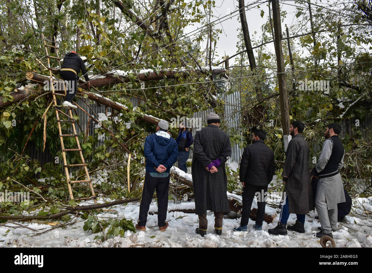 Cachemire, Inde. 09Th Nov, 2019. Regarder les résidents Un travailleur la réparation de lignes de transmission électrique après la forte chute de neige à la périphérie du Jammu-et-Cachemire.Au moins sept personnes sont mortes dans des incidents survenus à de nombreux endroits de la vallée au cours des saisons première neige. Un service météorologique a prédit le temps sec dans la région pour la prochaine semaine. Credit : SOPA/Alamy Images Limited Live News Banque D'Images