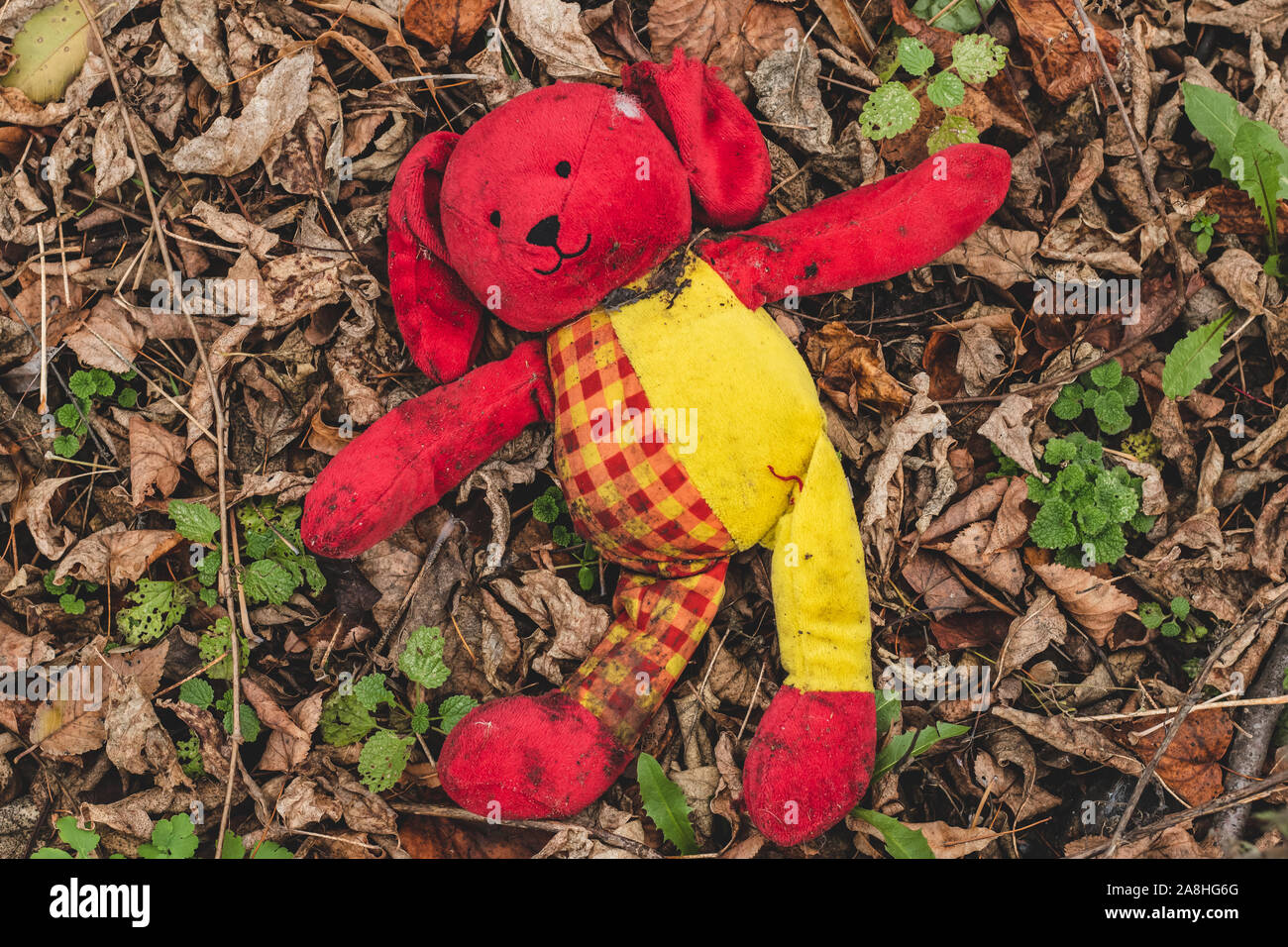 Peluche chien se vautre dans le feuillage. Sale perdu jouet rouge se trouve sur le terrain dans le parc. Banque D'Images