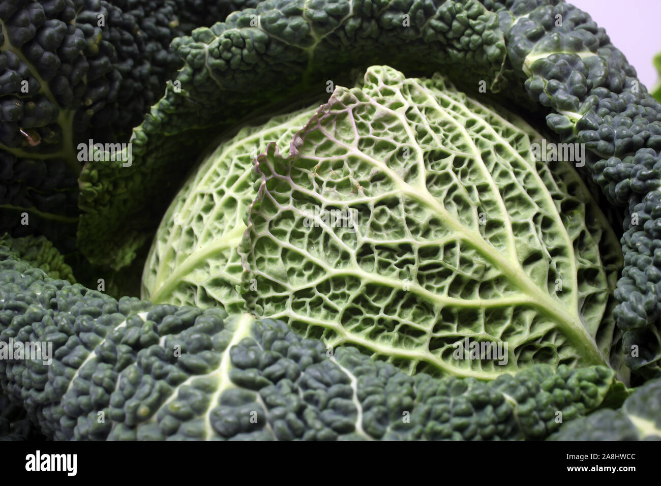 Kale frais Banque D'Images