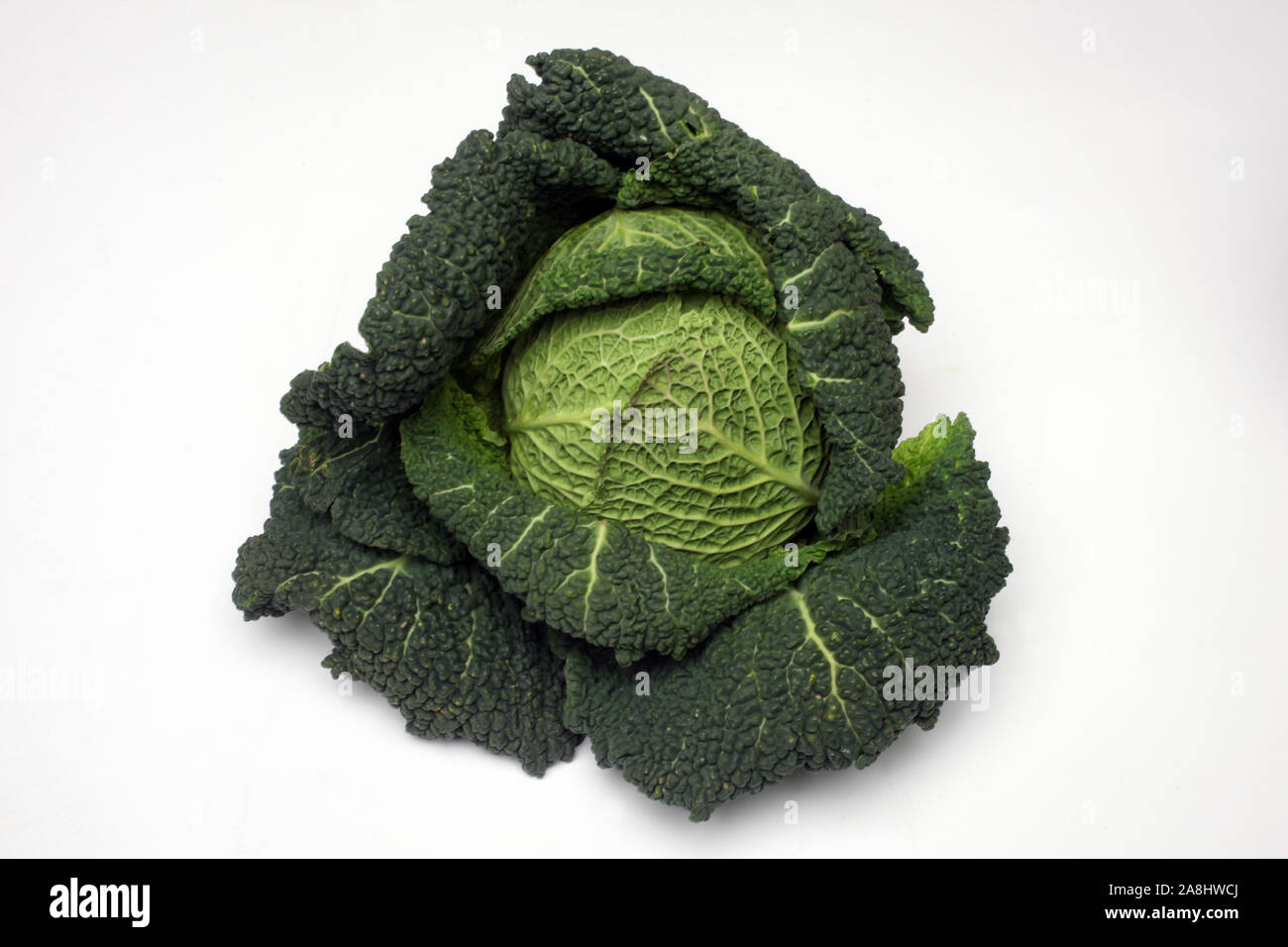 Kale frais Banque D'Images