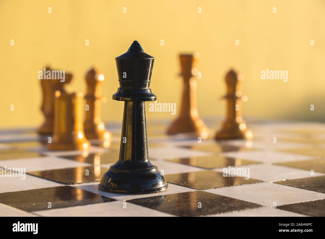 Pièces d'échecs sur un échiquier dans un parc. Banque D'Images