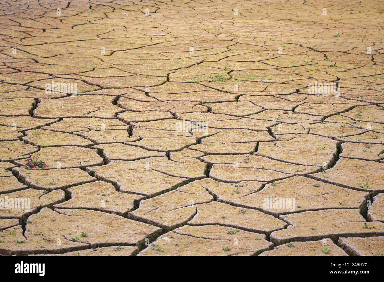 Désert avec de grandes fissures causées par une grave sécheresse. Conséquences du réchauffement climatique. Banque D'Images