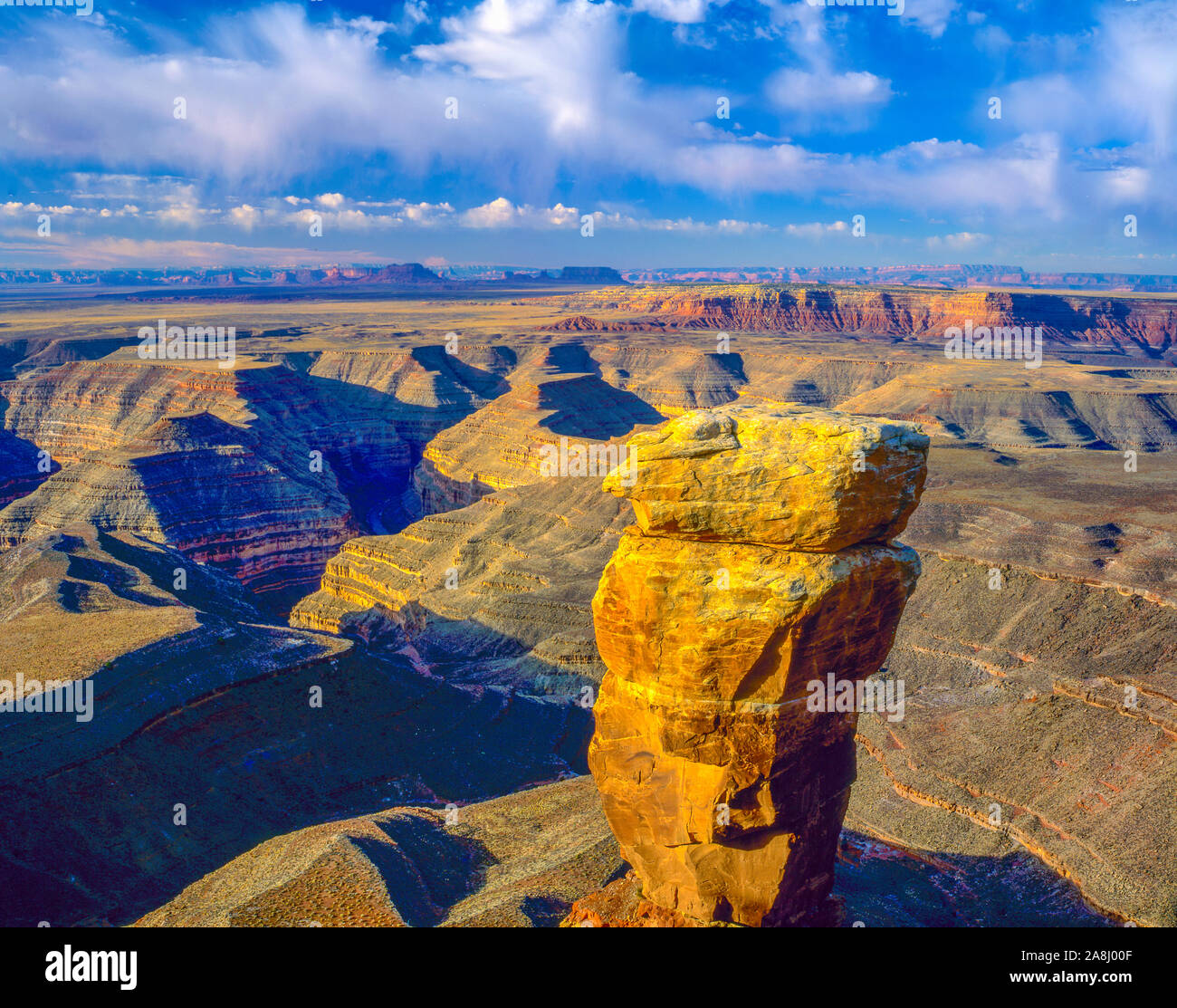 Point de vue, Muley Glen Canyon National Recreation Aea, Utah, San Juan River Goosenecks, vue en direction de Monument Valley Banque D'Images