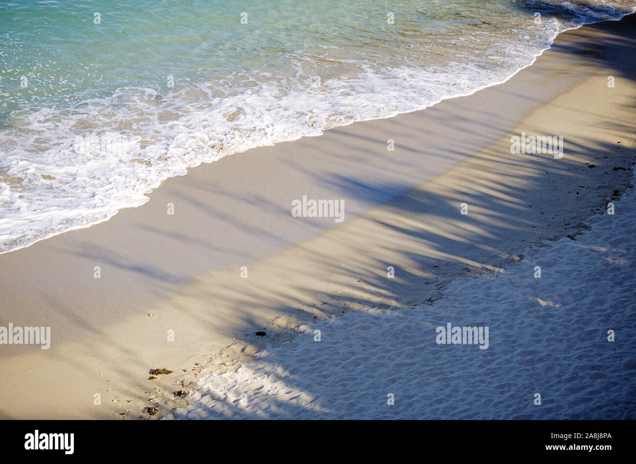 Guernesey. L'île de Herm. Belvoir Bay. L'herbe haute vue de l'ombre sur la plage en fin de soirée. Banque D'Images