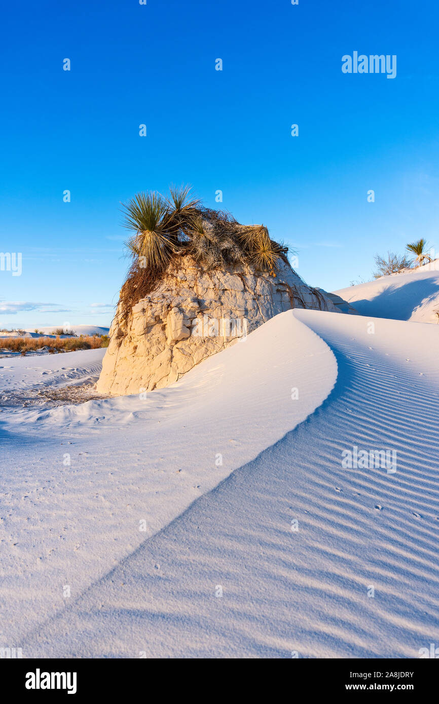 Ondulations texturées sur les dunes de sable du parc national de White Sands, Nouveau-Mexique, États-Unis Banque D'Images