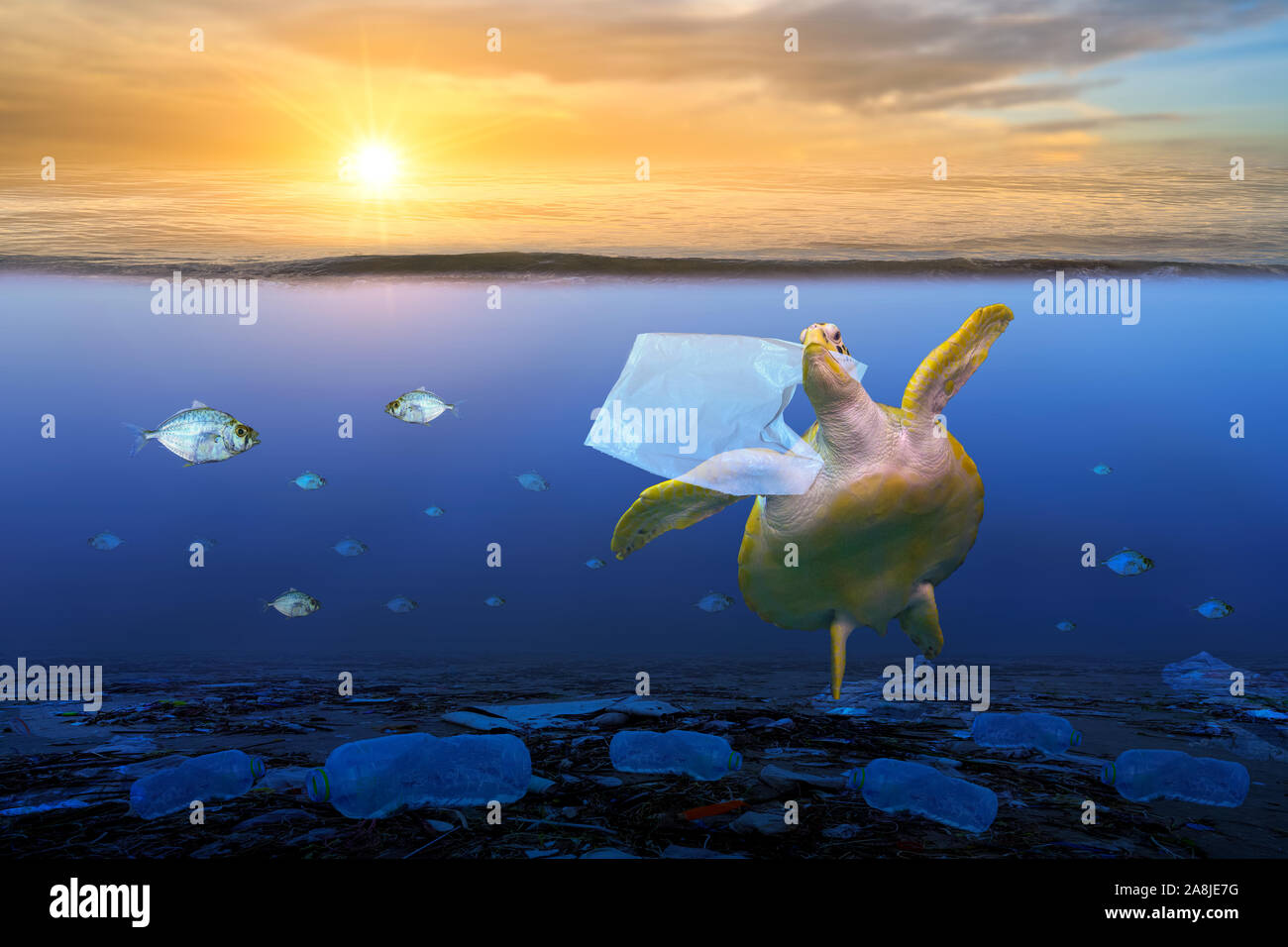Océan de plastique Sacs en plastique de l'alimentation sont des tortues sous le bleu de la mer. Concepts de la conservation de l'environnement et de ne pas jeter de déchets dans la mer Banque D'Images