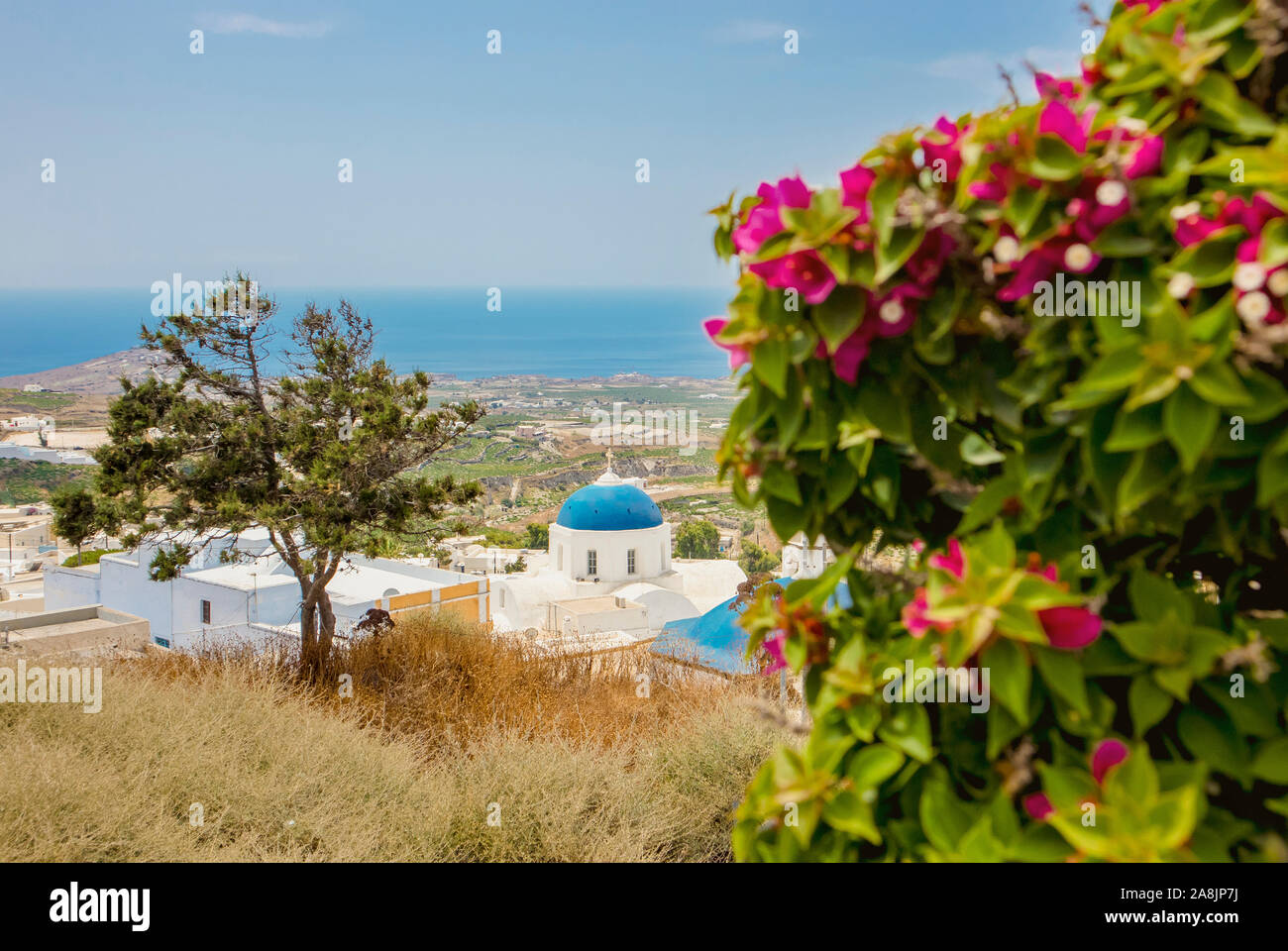 Vue sur le village Pyrgos Blue Dome église sur l'île de Santorin, la Grèce, le paysage vert et la mer Egée sur l'arrière-plan. Banque D'Images