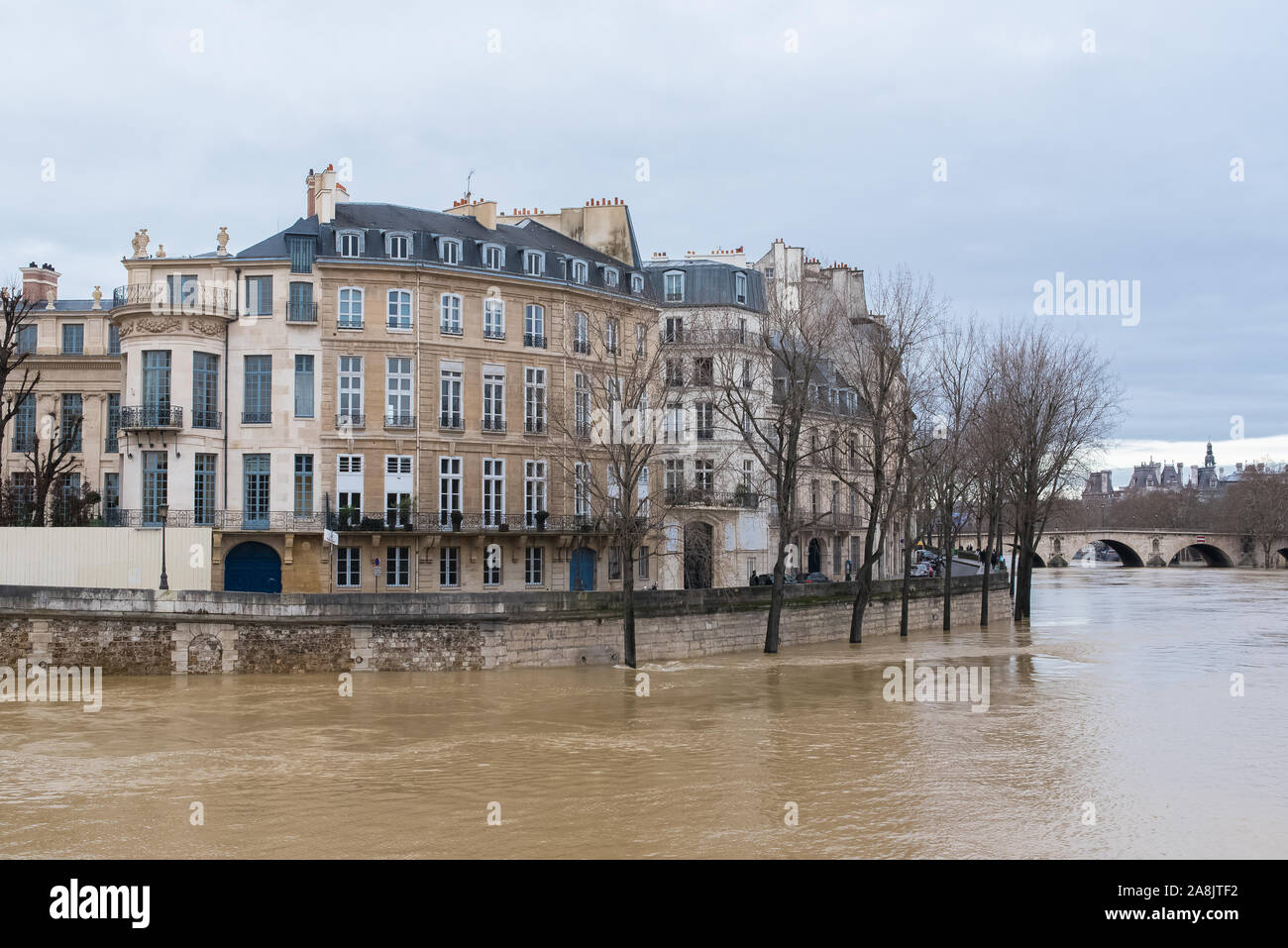 Paris, rive de la Seine sous les inondations, arbres sous l'eau Banque D'Images