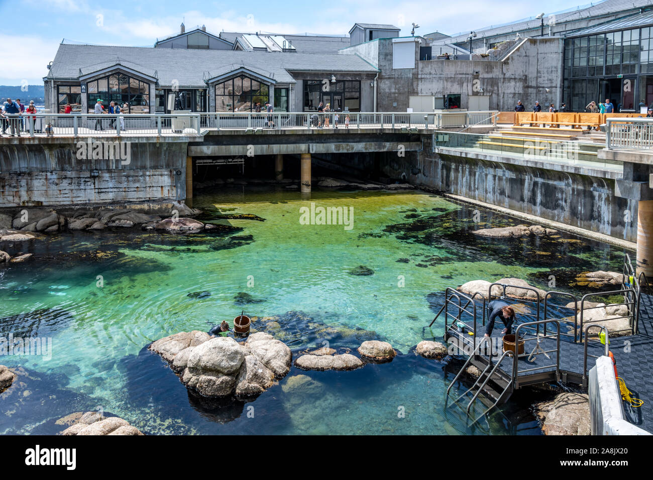 Aquarium de Monterey Bay, en Californie, une grande piscine de marée Banque D'Images