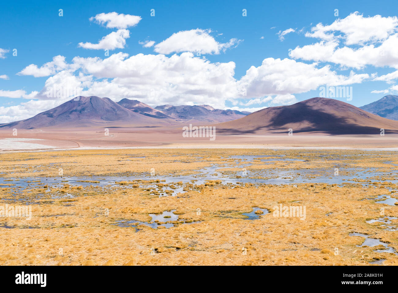 Rio Putana, San Pedro de Atacama Banque D'Images