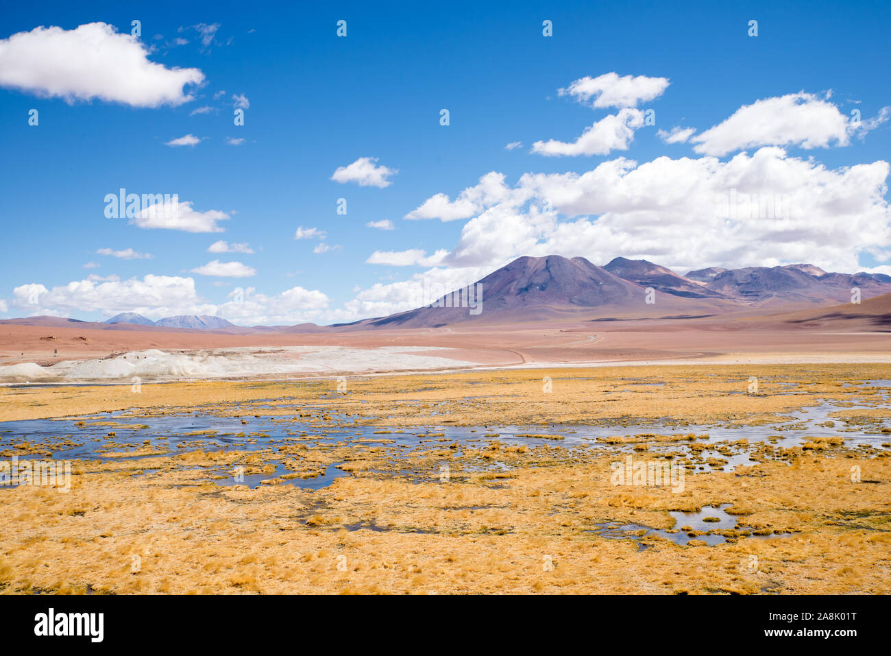 Rio Putana, San Pedro de Atacama Banque D'Images