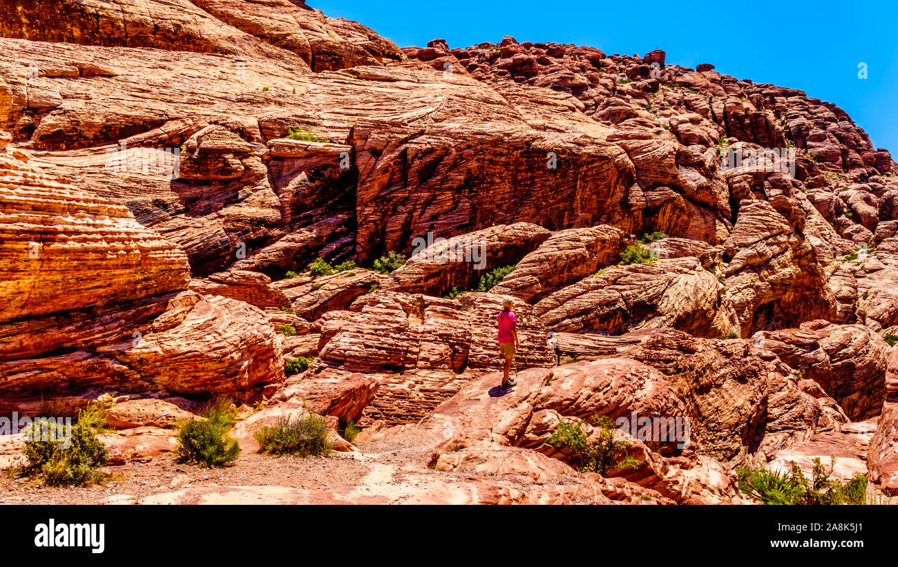Senior woman randonnée sur les falaises de grès rouge de la piste de Calico dans le Red Rock Canyon National Conservation Area près de Las Vegas, Nevada, United State Banque D'Images